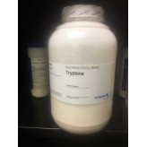 Tryptone, Microbiology Culture Media, 1Kg